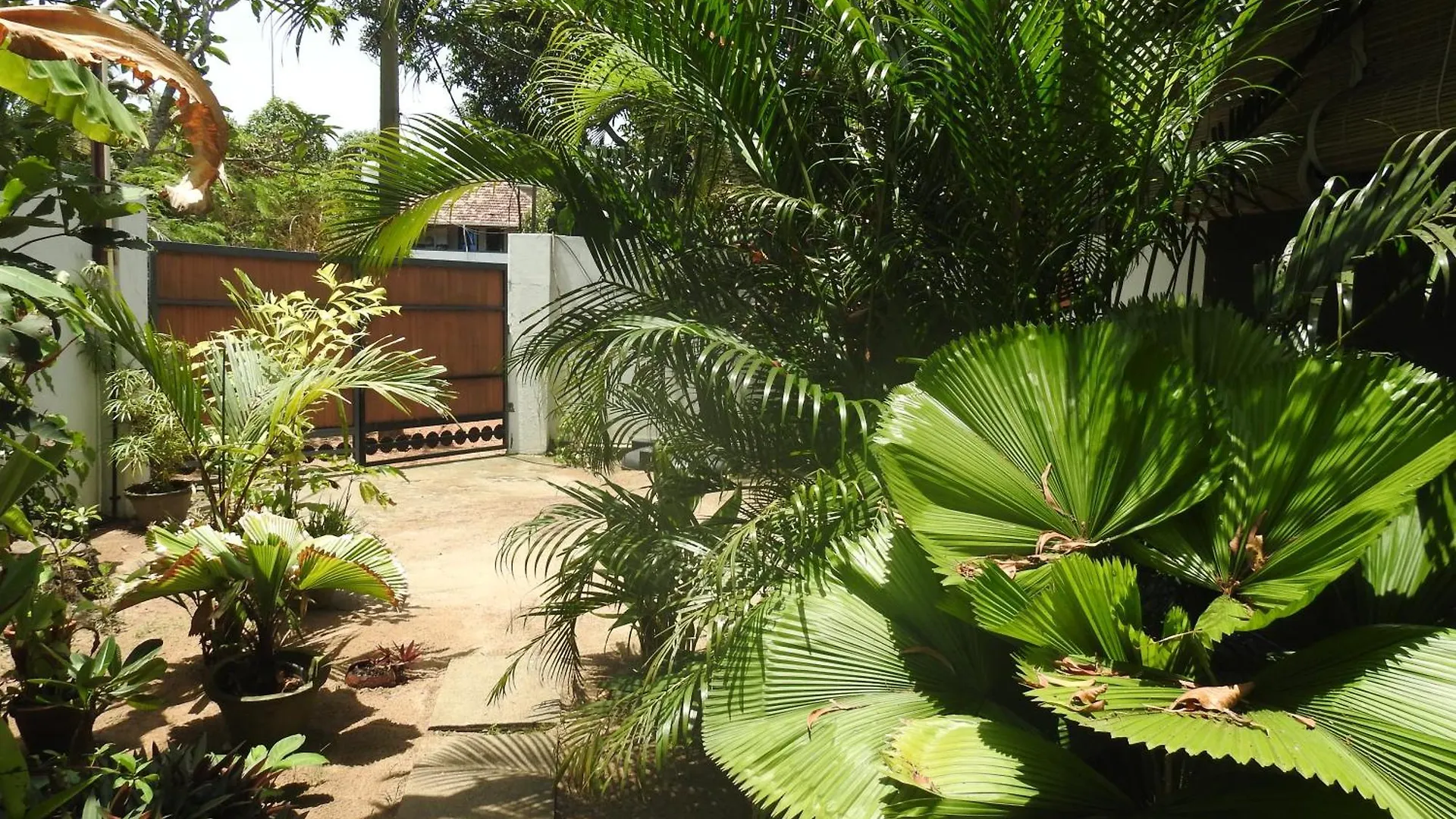Alleppey Beach Garden Alappuzha Indien